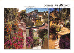 83-BORMES LES MIMOSAS-N°C4117-D/0017 - Bormes-les-Mimosas