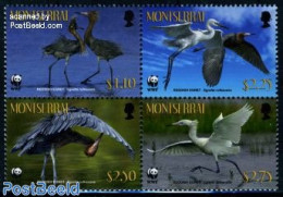 Montserrat 2010 WWF, Reddish Egret 4v [+], Mint NH, Nature - Birds - World Wildlife Fund (WWF) - Autres & Non Classés