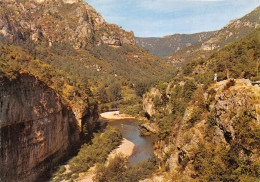 48-GORGES DU TARN DETROITS-N°C4118-C/0307 - Gorges Du Tarn