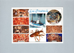 Crustacés - Fische Und Schaltiere
