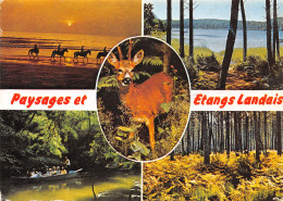 40-ETANGS LANDAIS ET PAYSAGES-N°C4118-C/0167 - Sonstige & Ohne Zuordnung