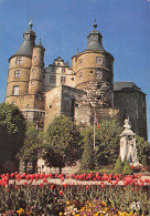 25-MONTBELIARD LE CHATEAU-N°C4118-C/0145 - Montbéliard