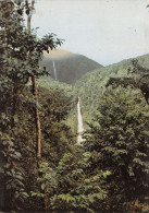 971-GUADELOUPE CHUTES DU CARBET-N°C4118-B/0347 - Sonstige & Ohne Zuordnung