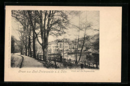 AK Bad Freienwalde / Oder, Blick Auf Die Papenmühle  - Bad Freienwalde