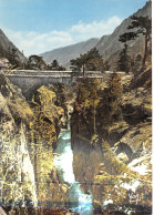 65-CAUTERETS PONT D ESPAGNE-N°C4119-A/0063 - Cauterets