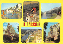 89-LES ROCHERS DU SAUSSOIS-N°C4118-D/0197 - Sonstige & Ohne Zuordnung