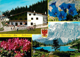 73313828 Ehrwald Tirol Ehrwalder Alm Seebensee Wettersteingebirge Alpenflora Ehr - Other & Unclassified