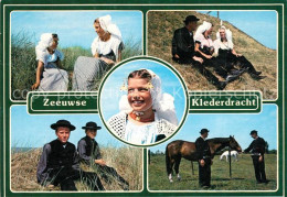 73313818 Zeeuws Vlaanderen Klederdracht Trachten Pferde Zeeuws Vlaanderen - Otros & Sin Clasificación