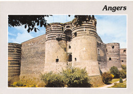 49-ANGERS-N°C4119-C/0175 - Angers