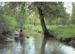 79-LE MARAIS POITEVIN-N°C4119-C/0055 - Andere & Zonder Classificatie