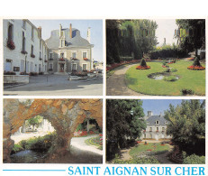 41-SAINT AIGNAN SUR CHER-N°C4120-B/0033 - Saint Aignan