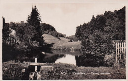 Florenville - CHAMLEUX - L'etang Frontiere - Florenville