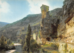 81-LES GORGES DU TARN-N°C4120-C/0269 - Altri & Non Classificati