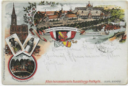 Gewerbeausstellung Straßburg 1895 Imt Sonderstempel Nach Memmingen - Lettres & Documents