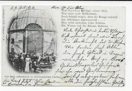 Affenhaus Im Zoologischen Garten Frankfurt, 1904 Nach Heidelberg - Lettres & Documents