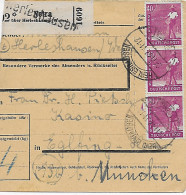 Paketkarte Netra/Herleshausen Nach Eglfing/Kasino, 1947, MeF - Brieven En Documenten