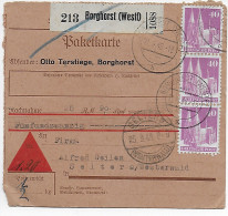 Paketkarte Borghorst/Westf. Nach Selters/Westerwald, 1948, MeF - Briefe U. Dokumente