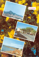 83-HYERES LES PALMIERS-N°C4120-B/0171 - Hyeres