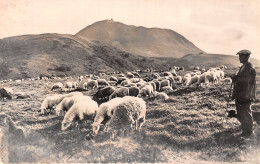 63-PUY DE DOME OBSERVATOIRE-N°LP5127-F/0199 - Other & Unclassified