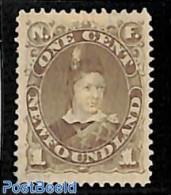 Newfoundland 1880 1c, Greybrown, Stamp Out Of Set, Without Gum, Unused (hinged) - Autres & Non Classés