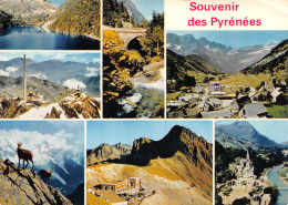 65-LES PYRENEES-N°C4121-A/0219 - Sonstige & Ohne Zuordnung