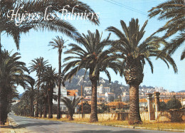 83-HYERES LES PALMIERS-N°C4121-A/0091 - Hyeres