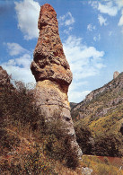 48-LES GORGES DU TARN ET DE LA JONTE-N°C4121-D/0113 - Autres & Non Classés