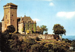 15-POLMINHAC LE CHATEAU DE PESTEILS-N°C4121-C/0391 - Other & Unclassified