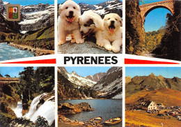 65-HAUTES PYRENEES-N°C4121-C/0307 - Autres & Non Classés