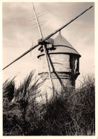 44-GUERANDE MOULIN DU DIABLE-N°C4121-C/0211 - Guérande