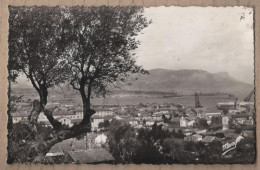 CPSM 83 - LA SEYNE SUR MER - Vue Générale - TB PLAN D'ensemble + Arbre à Gauche - La Seyne-sur-Mer