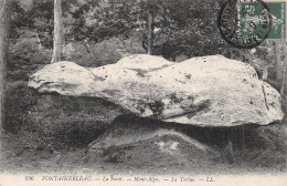 77-FONTAINEBLEAU LA FORET LA TORTUE-N°LP5128-B/0181 - Fontainebleau