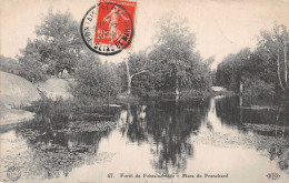 77-FONTAINEBLEAU LA FORET MARE DE FRANCHARD-N°LP5128-A/0283 - Fontainebleau