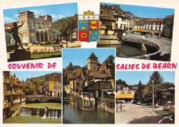 64-SALIES DE BEARN-N°C4122-C/0135 - Salies De Bearn