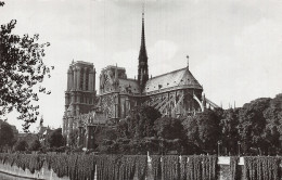 75-PARIS NOTRE DAME-N°LP5128-E/0351 - Notre Dame De Paris