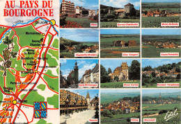 21-PAYS DE BOURGOGNE-N°C4122-D/0021 - Sonstige & Ohne Zuordnung