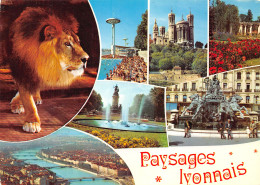 69-LYON-N°C4123-D/0157 - Lyon 1