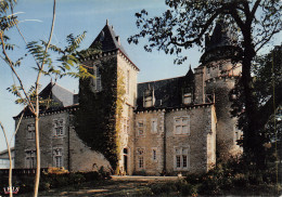 46-ROUMEGOUSE LE CHATEAU-N°C4123-C/0209 - Otros & Sin Clasificación