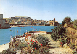 66-COLLIOURE-N°C4123-B/0233 - Collioure