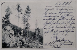 Czech / Češka Šumava / Stezka K Černému Jezeru. Böhmerwald. - Weg. Weg Zush Schwarzen See. / 1898 - Tschechische Republik