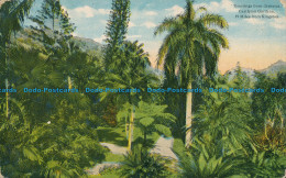 R027696 Greetings From Jamaica. Castleton Gardens. Duperly - Monde