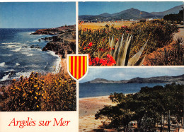 66-ARGELES SUR MER-N°C4124-D/0177 - Argeles Sur Mer