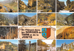 48-GORGES DU TARN LA JONTE-N°C4124-C/0383 - Gorges Du Tarn