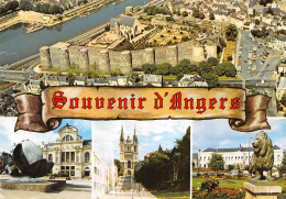 49-ANGERS-N°C4124-C/0319 - Angers
