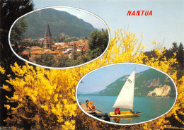 01-NANTUA-N°C4124-C/0237 - Nantua