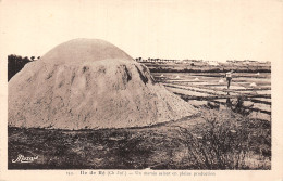 17-ILE DE RE UN MARAIS SALANT-N°LP5129-H/0009 - Ile De Ré