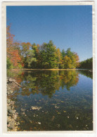 Ontario - Buck Lake Bei Westport - (Canada) - Otros & Sin Clasificación