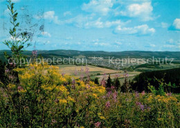 73311294 Schmallenberg Panorama Schmallenberg - Schmallenberg