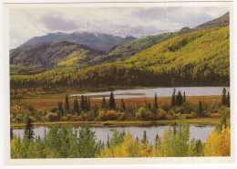 Yukon, Haines Highway - (Canada) - Autres & Non Classés