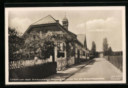 AK Hattenheim A. Rh., Einfahrt Zum Domänenweingut Steinberg  - Other & Unclassified